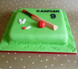 Cricket theme Birthday Party Cakes and Cupcakes
